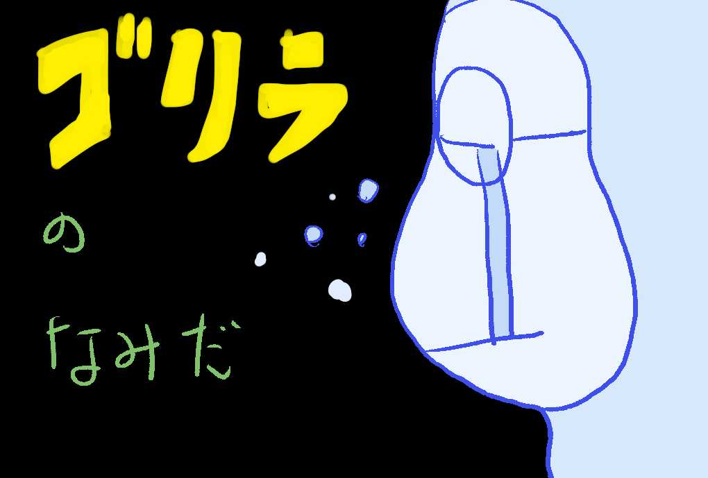 gori0000017