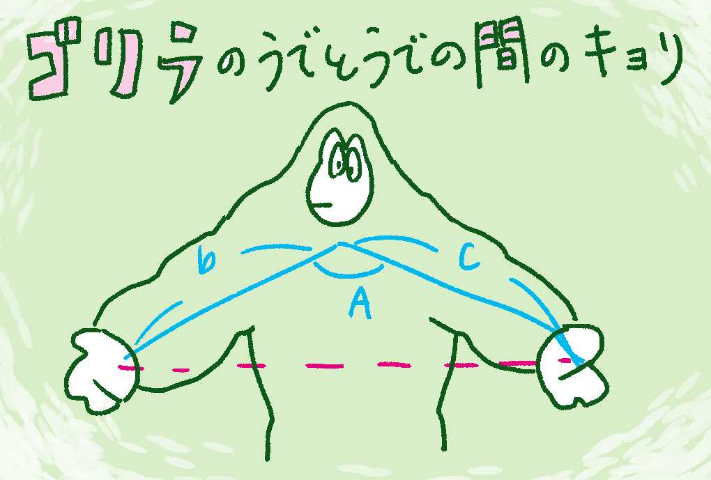 gori0000045